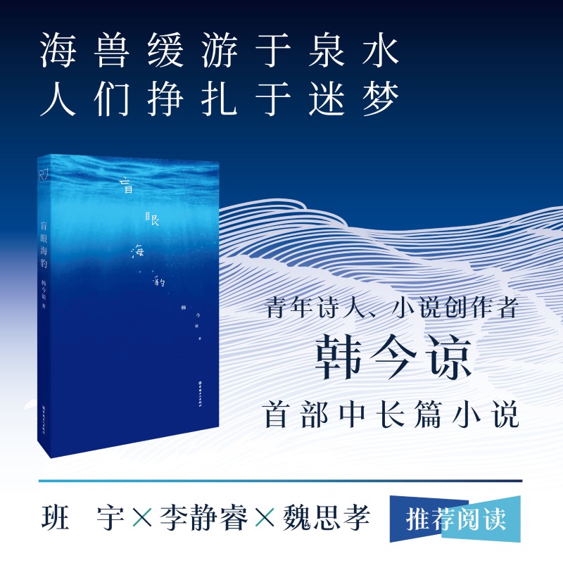 盲眼海豹 韩今谅 著 中国工人出版社·尺寸 长篇小说中国当代现代文学大众文艺《送你一朵小红花》《我爱你！》编剧首部中长篇小说