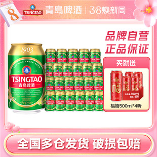 青岛啤酒1903四季常青小罐易拉罐330ml*24听口感清爽整箱包邮