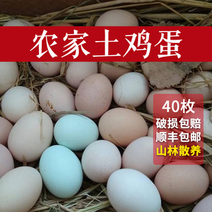 湖北特产大别山正宗农家散养喂养土鸡蛋农村麻城新鲜真正绿壳鸡蛋
