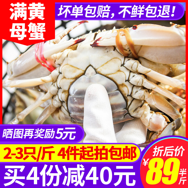 梭子蟹鲜活母大海蟹免邮螃蟹新鲜活体超大野生海鲜水产顺丰包邮