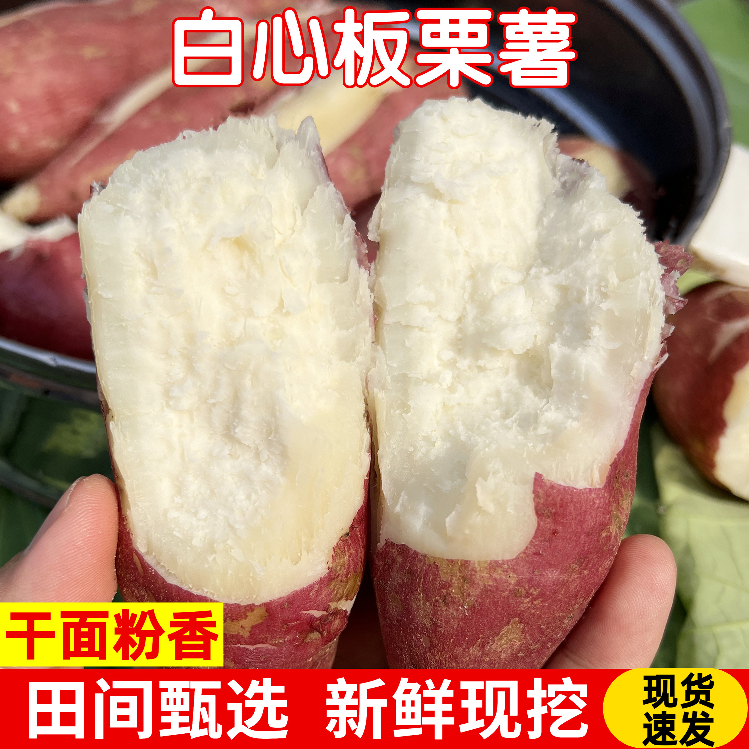 新鲜现挖白心红薯农家老品种白瓤地瓜红皮河南白心板栗薯粉面干甜