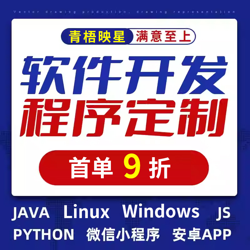 程序代做小程序定制APP软件开发代做java代码代编写设计python