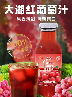 大湖100%葡萄汁250ml*6瓶 聚会果汁