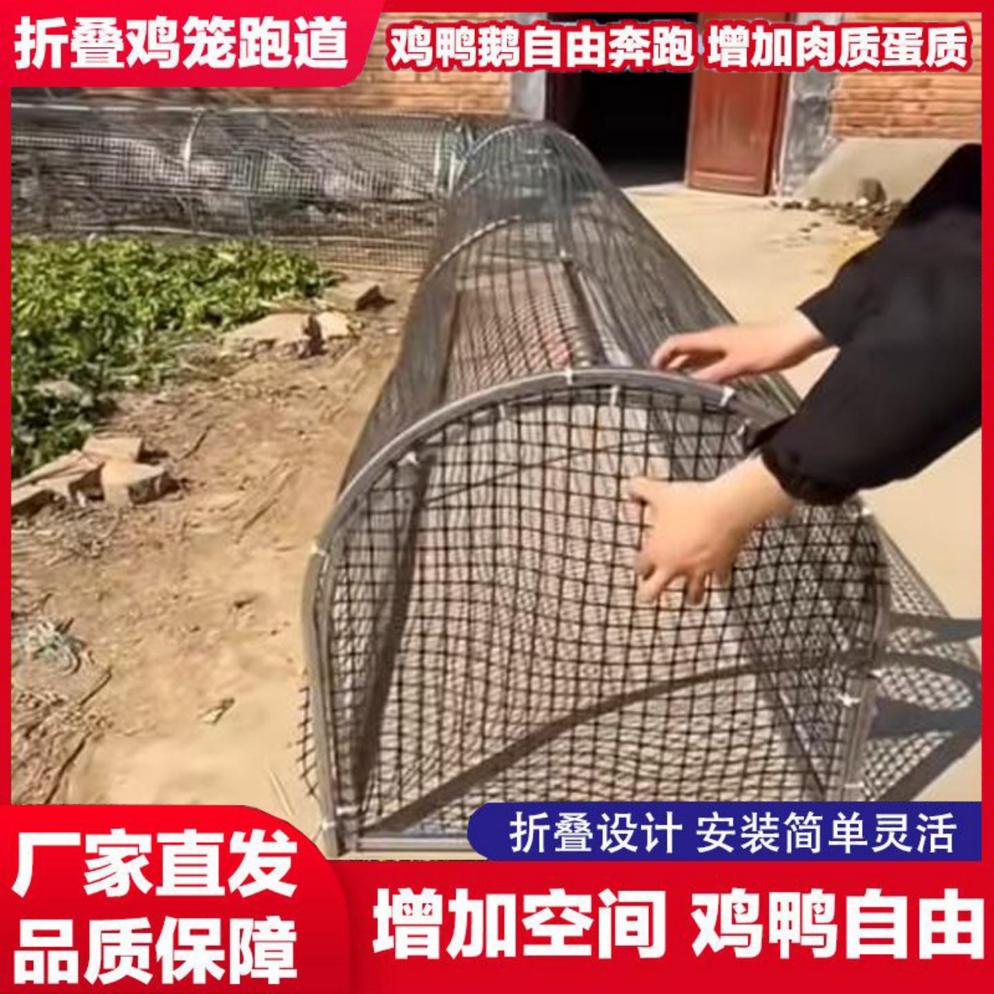跑道鸡笼农家用走地鸡移动养鸡棚鸡舍多功能折叠款鸡跑道户外农场
