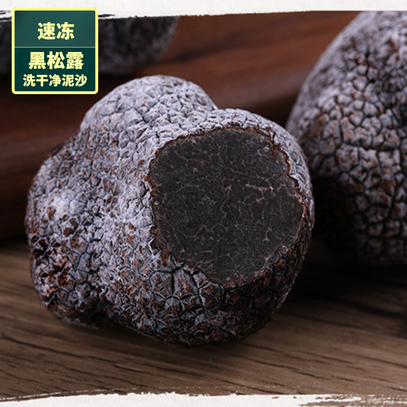 冰鲜黑松露块菌云南特产贡山自然生长猪拱菌成熟黑松露菌速冻菌菇