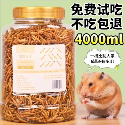 hamsterfood仓鼠粮食观赏鱼面包