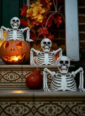 HalloweenHalfbodySkeleton
