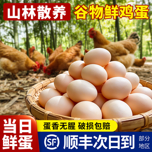 谷物鲜鸡蛋新鲜批发整箱农家散养草鸡蛋官方旗舰店山林散养土鸡蛋