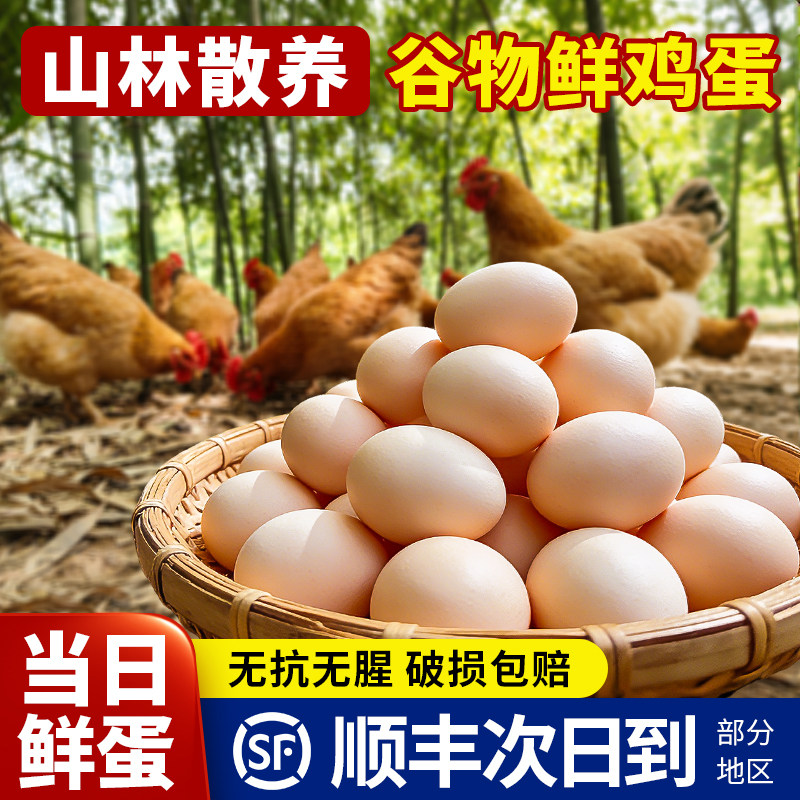 谷物鲜鸡蛋新鲜批发整箱农家散养草鸡蛋官方旗舰店山林散养土鸡蛋,水产肉类/新鲜蔬果/熟食,鸡蛋,淘宝优惠券,粉丝福利购,淘宝优惠卷