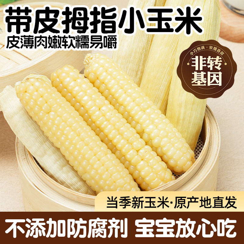 带皮拇指玉米真空装早餐甜黏玉米