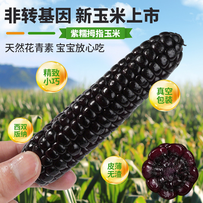 宝宝都爱吃的拇指玉米香甜软糯