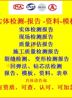 项目工程实体检测现场检测施工质量检测评定质量评估报告模板资料