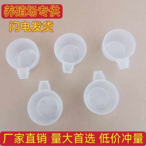 鹦鹉食碗蛋小米碗保健砂食盒圆形鸡蛋米杯鸟用食杯喂食器食碗食盒