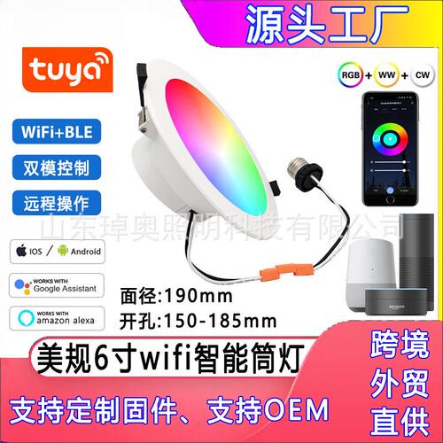 美规6英寸WiFi智能筒灯15W20W可