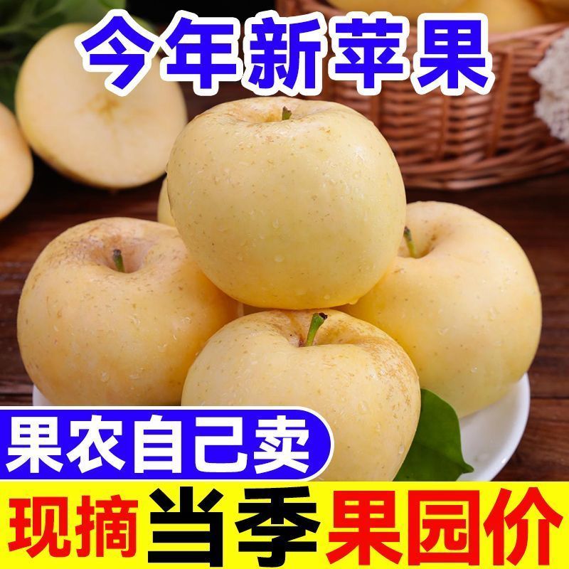 【2025年新果】正宗当季奶油富士苹果脆富士新鲜水果整箱应季水果