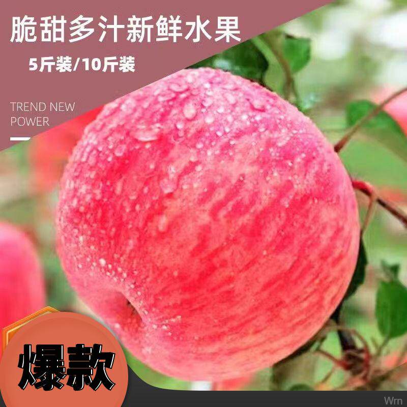 陕西省洛川白水脆甜多汁红富士苹果（大果小果中果包邮带箱斤数）