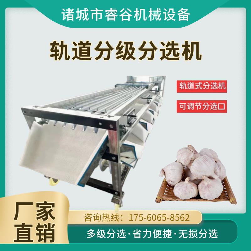 全自动轨道分选机 不锈钢分级机 大蒜头柑橘筛选分级设备