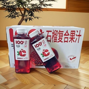 芝音 白桦树汁苹果汁砂糖橘汁椰子水瓶装500ml多规格饮料干净配料