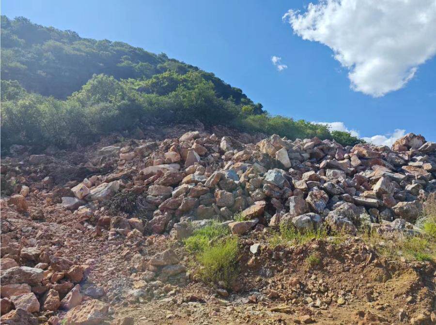 3月11日楚雄水泥公司机器设备、无形资产等资产网络拍卖公告