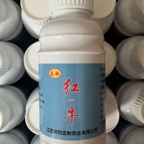 志秋红牛赶虾宝小龙虾进笼