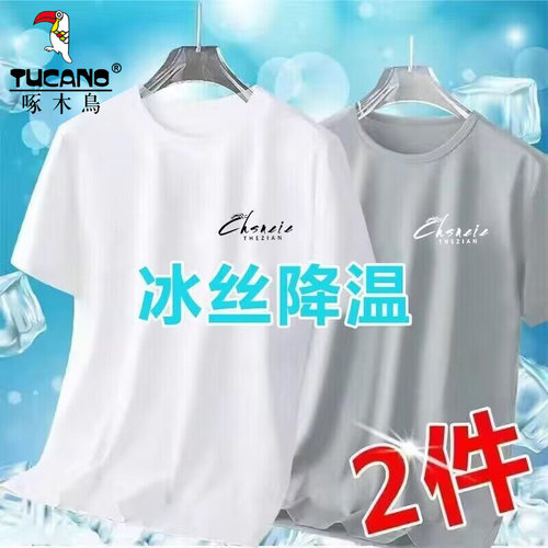 啄木鸟冰丝速干印花短袖体恤衫男士夏季休闲网眼运动宽松圆领t恤