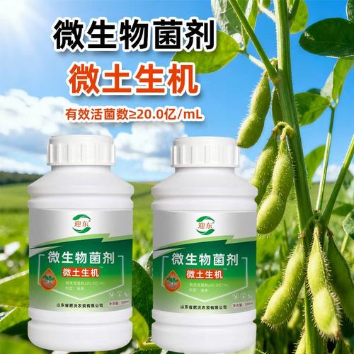 迎东生根壮苗剂通用型微生物菌剂