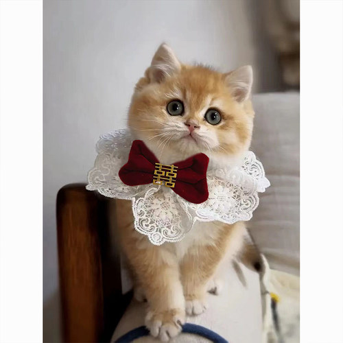 狗狗领结猫喜字衣服陪嫁猫咪结婚装饰喜庆围脖蝴蝶结宠物脖圈配饰