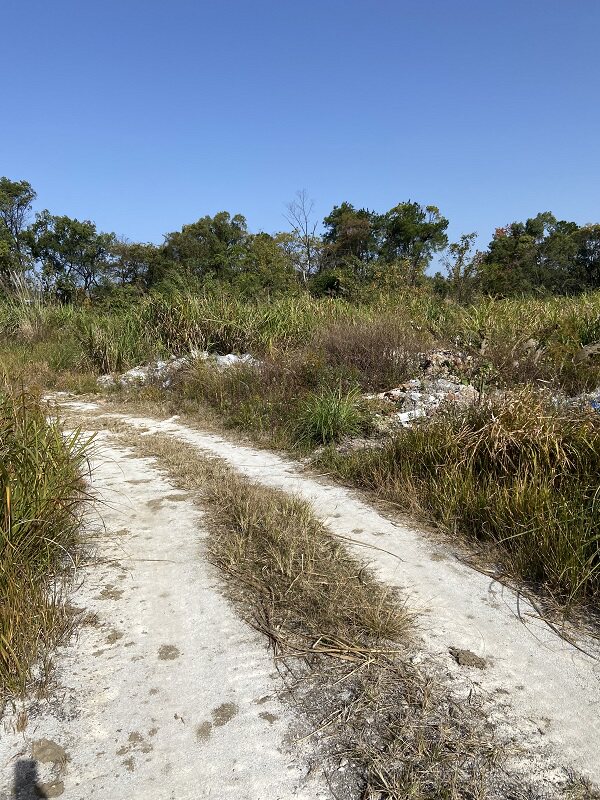 3月31日桂林市土地使用权及地上建筑物（销售中心、样板间）网络拍卖公告