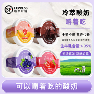 【顺丰冷链】希腊冷萃干噎酸奶固体网红甜品干嚼奶酪罐子厚酸奶