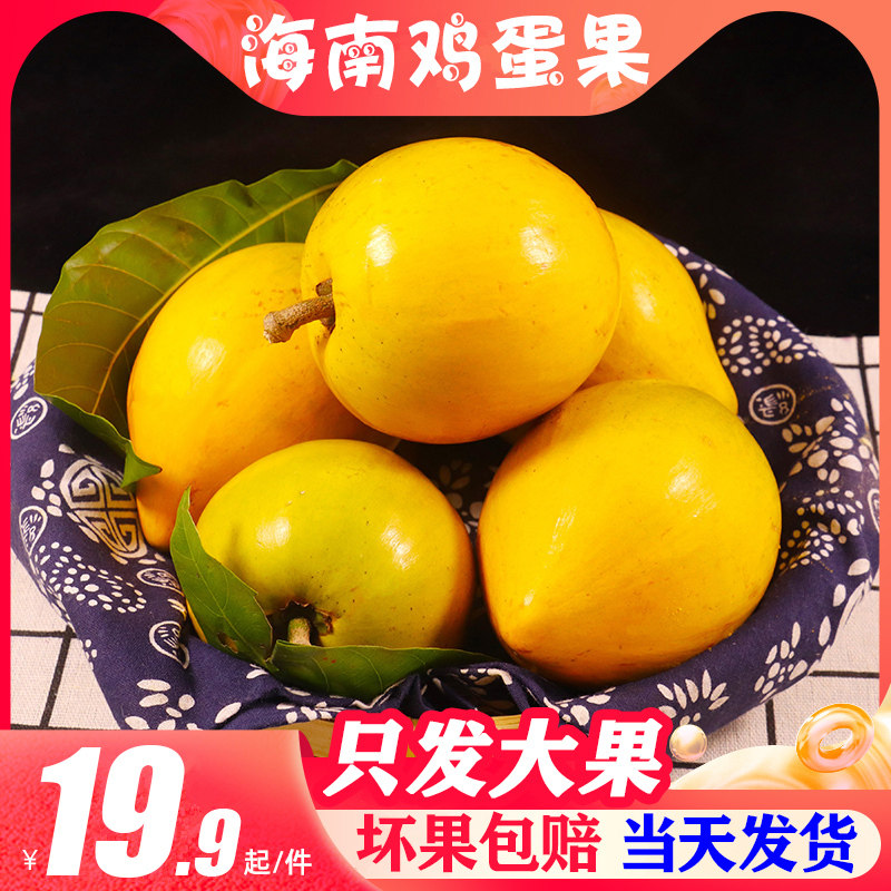 大果海南鸡蛋果新鲜蛋黄果5斤云南西双版纳当季热带水果特产包邮3