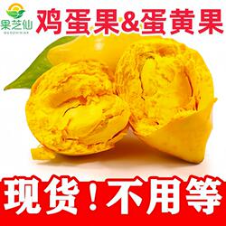 现摘鸡蛋果海南蛋黄果云南特产热带孕妇罕见的当季水果新鲜一整箱