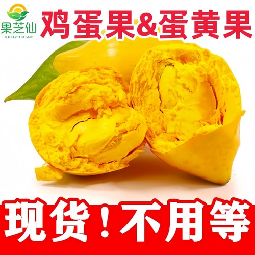 果芝仙蛋黄果鸡蛋果水果现摘现发