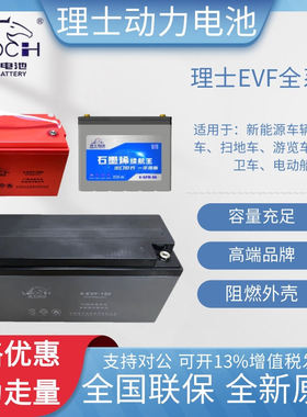 LEOCH理士胶体蓄电池3-EVF-200/225B洗地机观光车6/8/12V高尔夫