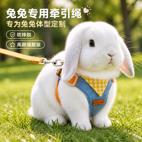 小兔子专用牵引绳防挣脱不勒脖背心式可调节大小胸背带外出溜兔绳