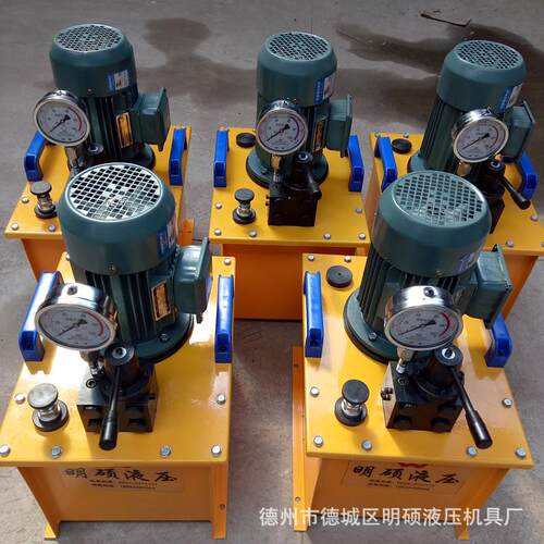 电动液压泵DSS大流量双油路小型电动油泵220V/380v一拖二液压泵站