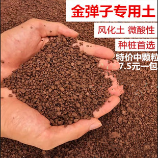 风化土颗粒风化石金弹子土扦插生根土茶花兰花渗水透气营养土酸性