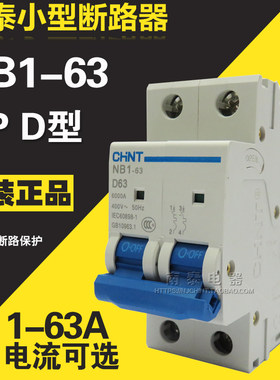CHNT正泰 断路器NB1-63 2P D型 6A 10A 20A 25A 32A 40A 50A 63A