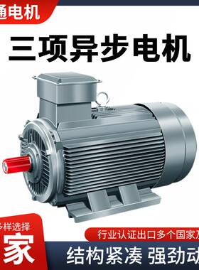 11千瓦15w22w30w4极6极变频电机国标电机三相异步电动机