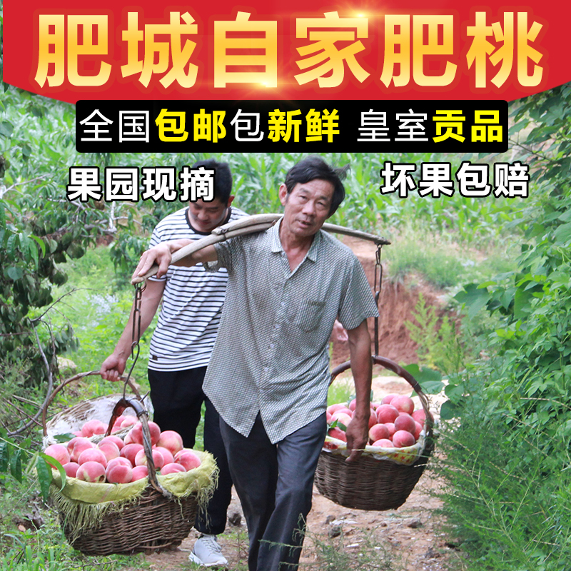正宗肥城肥桃脆甜桃中华寿桃