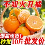 现货速发应当季不知火丑橘丑桔子当季新鲜孕妇水果香甜整箱5/10斤