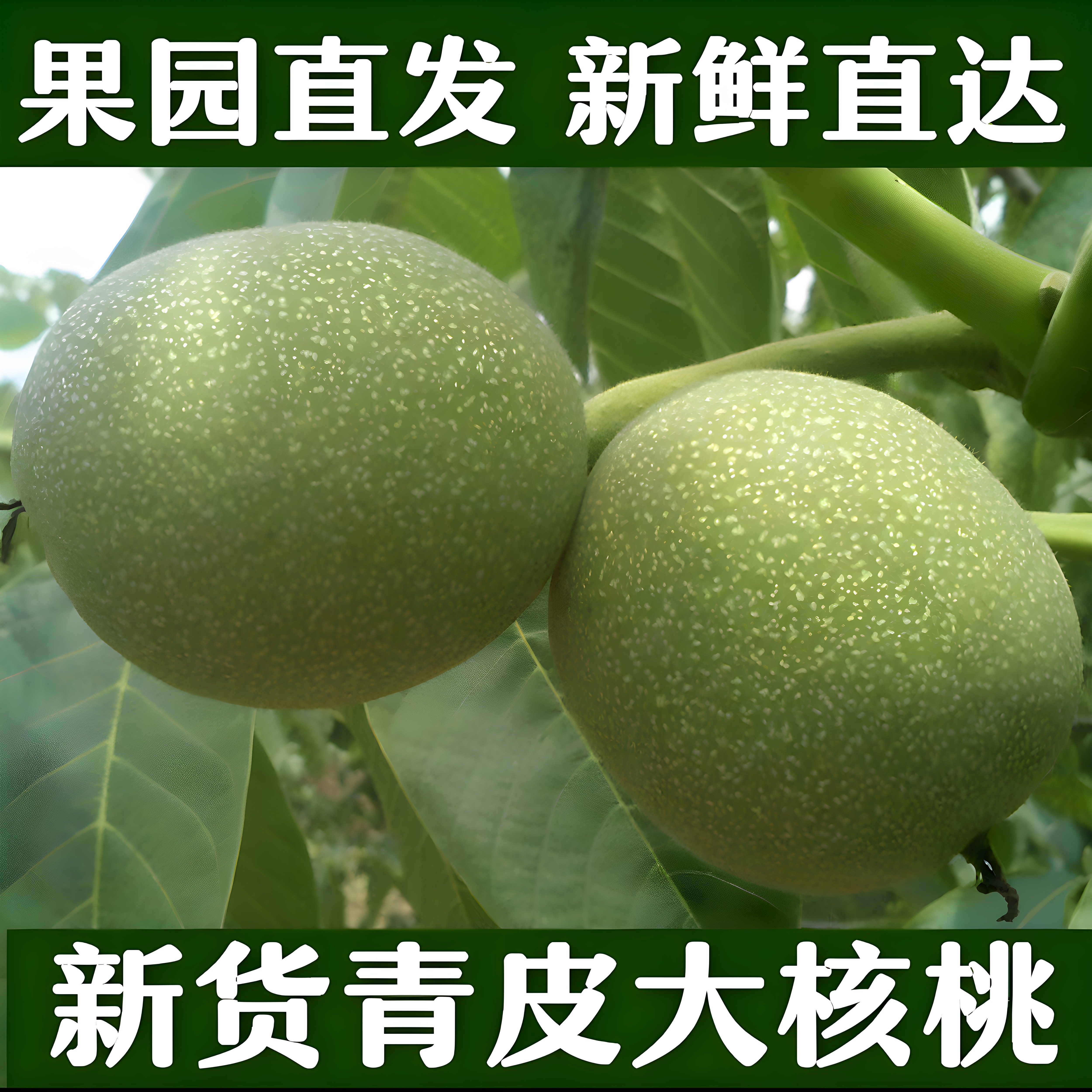 2026年新鲜带青皮绿皮生核桃孕妇零食坚果手工薄湿黑新货3/5/9斤