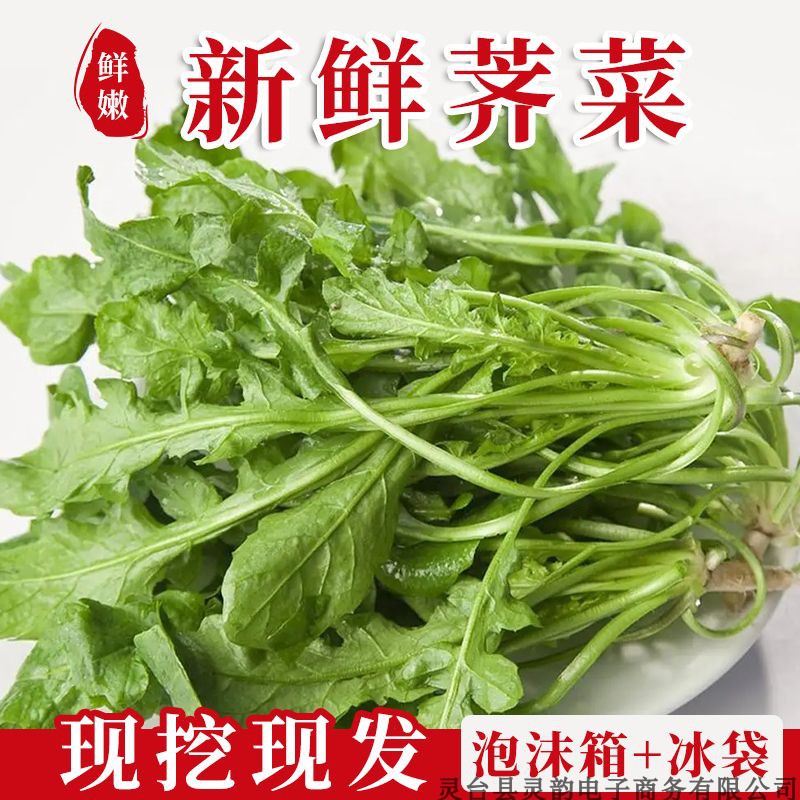 荠荠菜新鲜大叶户外生长的济济现挖包饺子馅配鲜肉团子汤圆包邮