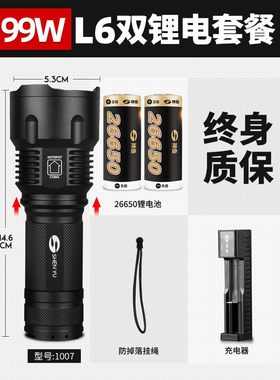 神鱼1007小型手电筒T6 L6强光充电多功能超亮远射户外家用led照明