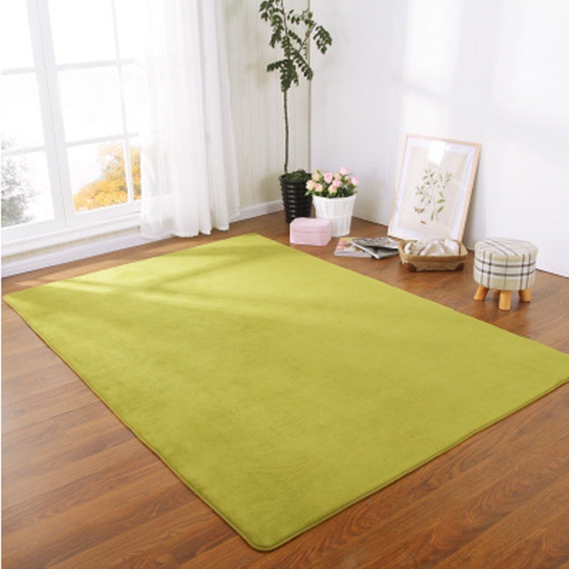 Soft Carpet Area Rugs Floor Bed Mats Living Room Bedroom