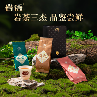 正山堂岩语流云大红袍肉桂水仙正宗武夷山岩茶特级茶叶试喝装 48g