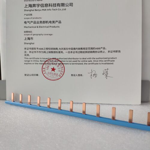 ABB汇流排双进双出 DPN 2P 进口ABB专用接线排