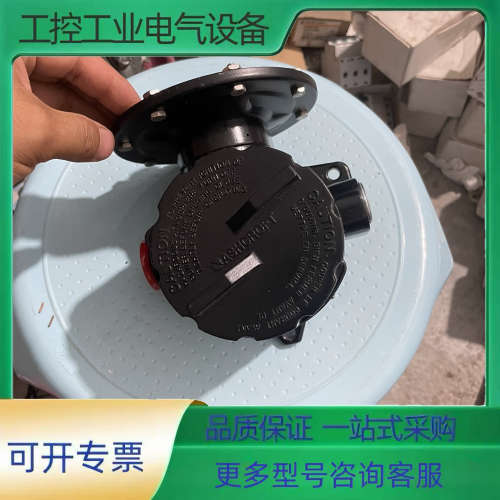 美国雅斯科ashcroft B724B 压力开关【议价】