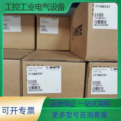 OMPX80 11186721怀特摆线马达【议价】