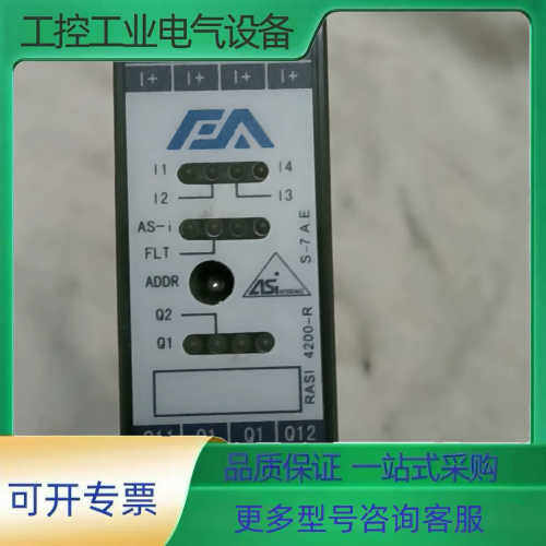 艾弗艾 从站模块RASI 4400-R Ver 1.21模块【议价】