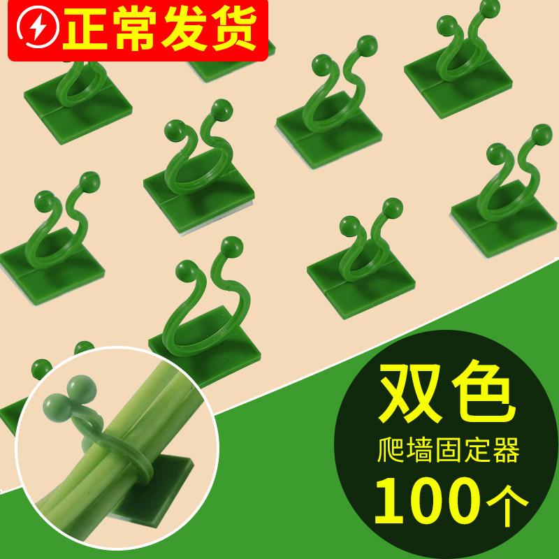 爬墙绿植固定器挂钩套装